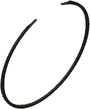 P3 and Rear Cover image 33